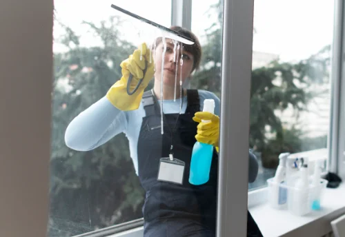 Nettoyage de vitres intérieures et extérieures à Lignareix